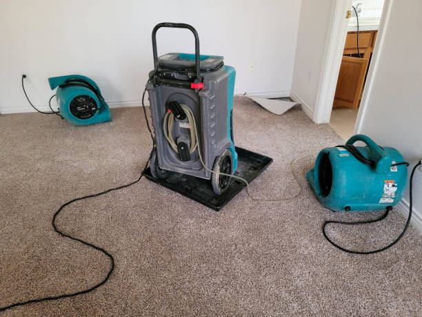 Best 24-hour water damage restoration  in Nibley, UT
