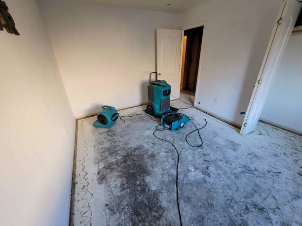 Best Residential water damage restoration  in Nibley, UT