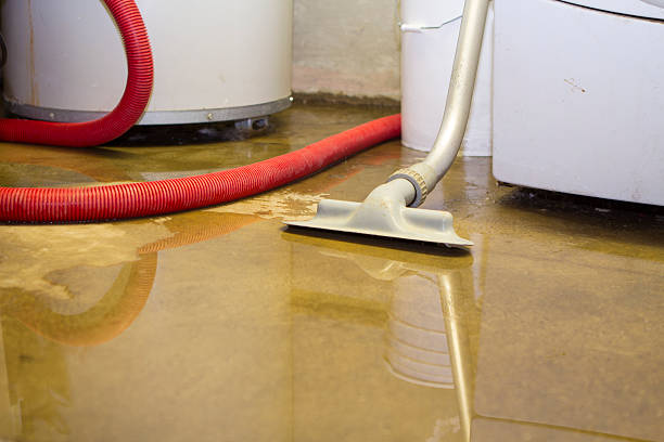Best Mold removal after water damage  in Nibley, UT