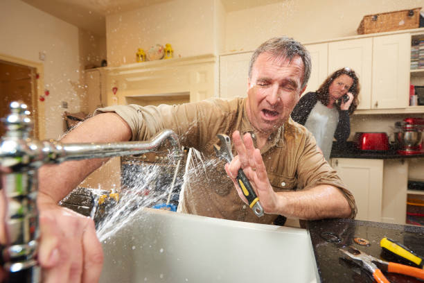 Best Basement water damage restoration  in Nibley, UT